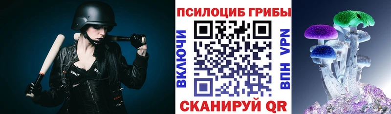 Псилоцибиновые грибы GOLDEN TEACHER  Купить закладки  Чебоксары 